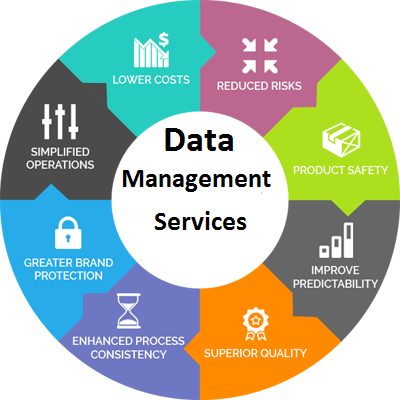 database management system services in India
