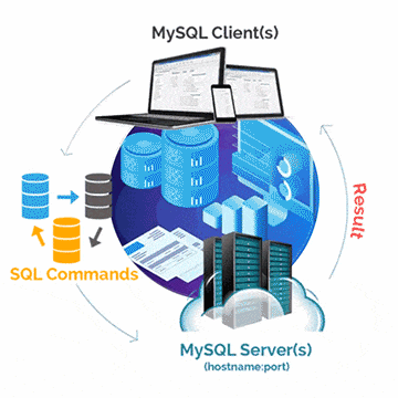 database management services